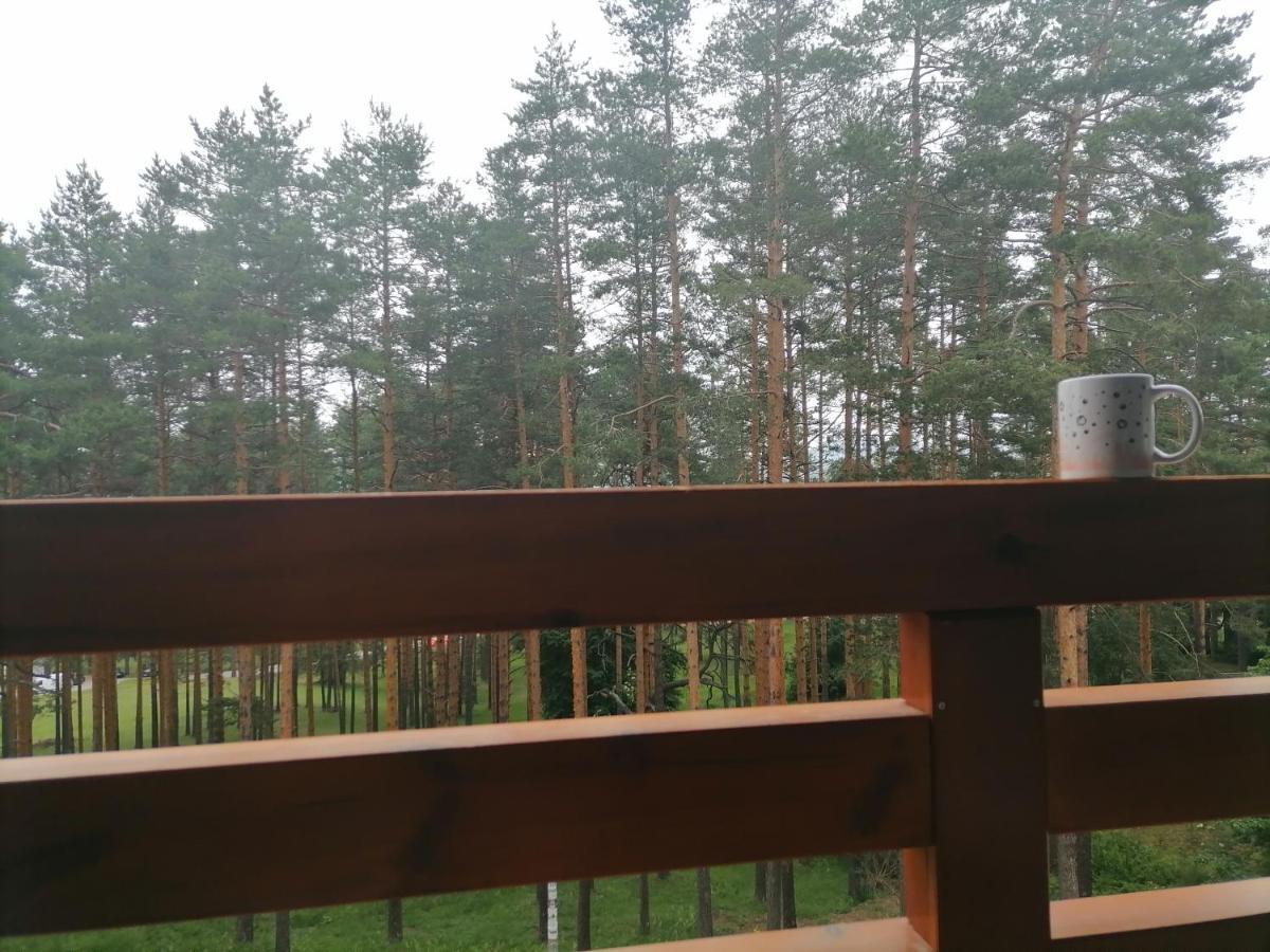 Apartman Nele Zlatibor Exterior photo