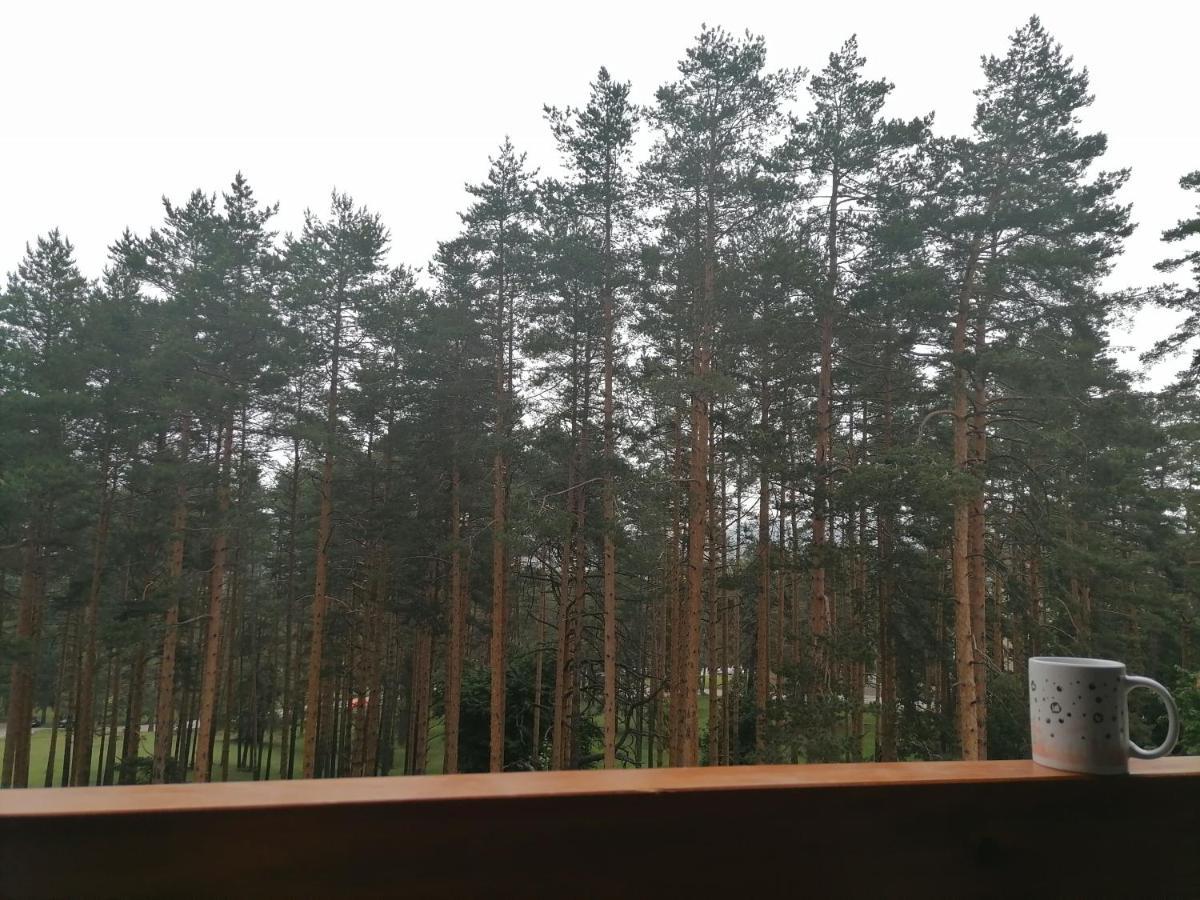Apartman Nele Zlatibor Exterior photo